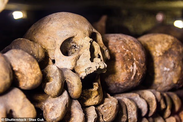 Последние кости были помещены в катакомбы в 1860 году, но впервые это место было открыто для публики в 1809 году.