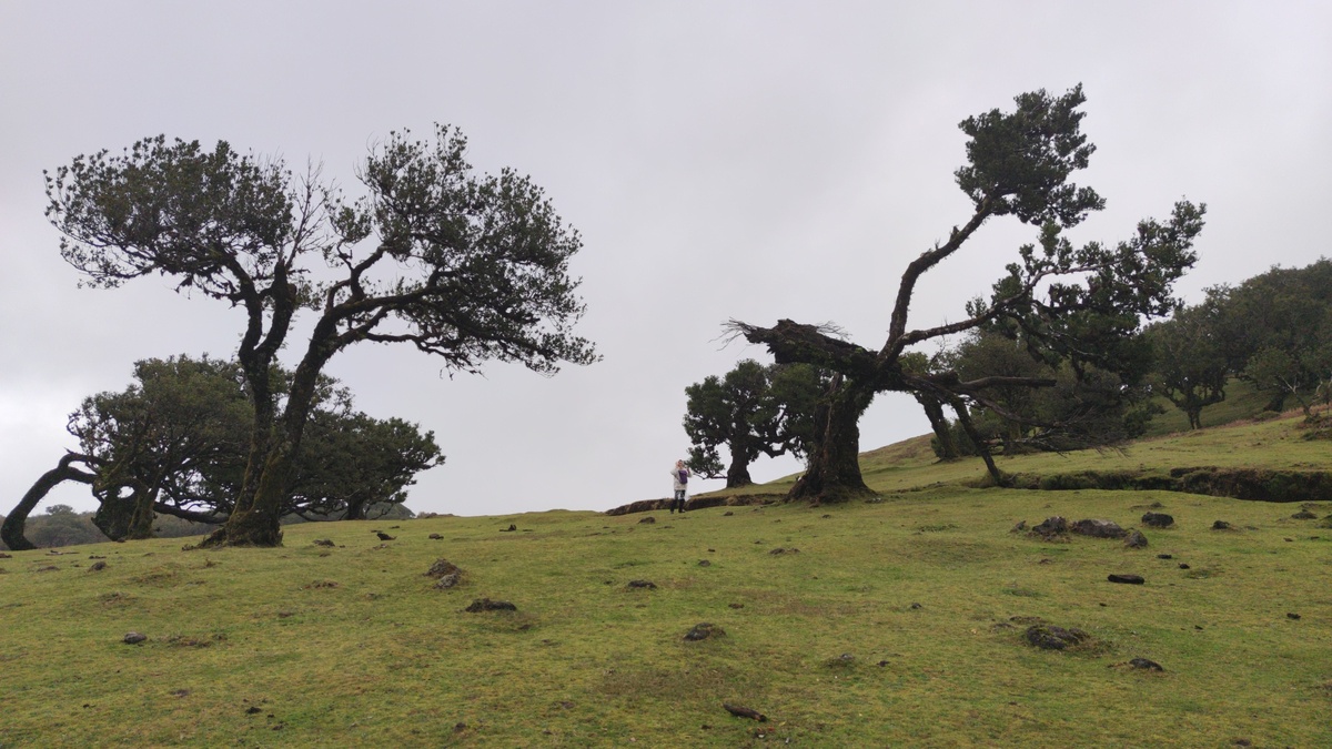 Ровное место - редкость на Мадейре