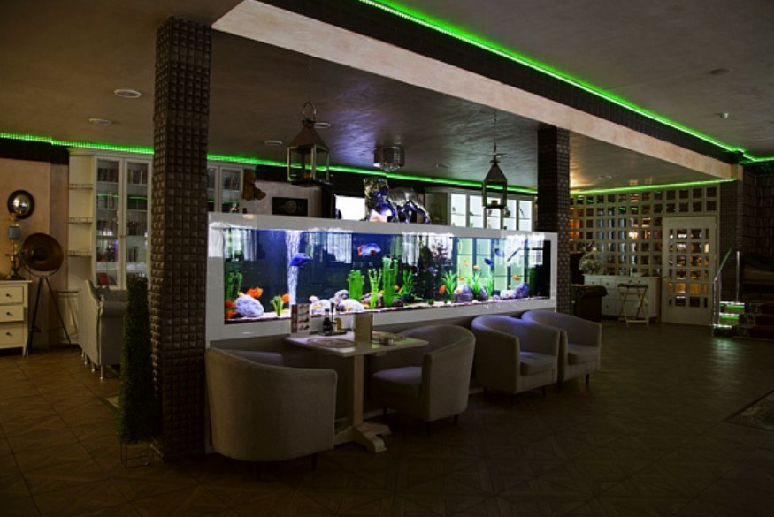 Место установки аквариума, габариты конструкции и размер рыб имеют значение