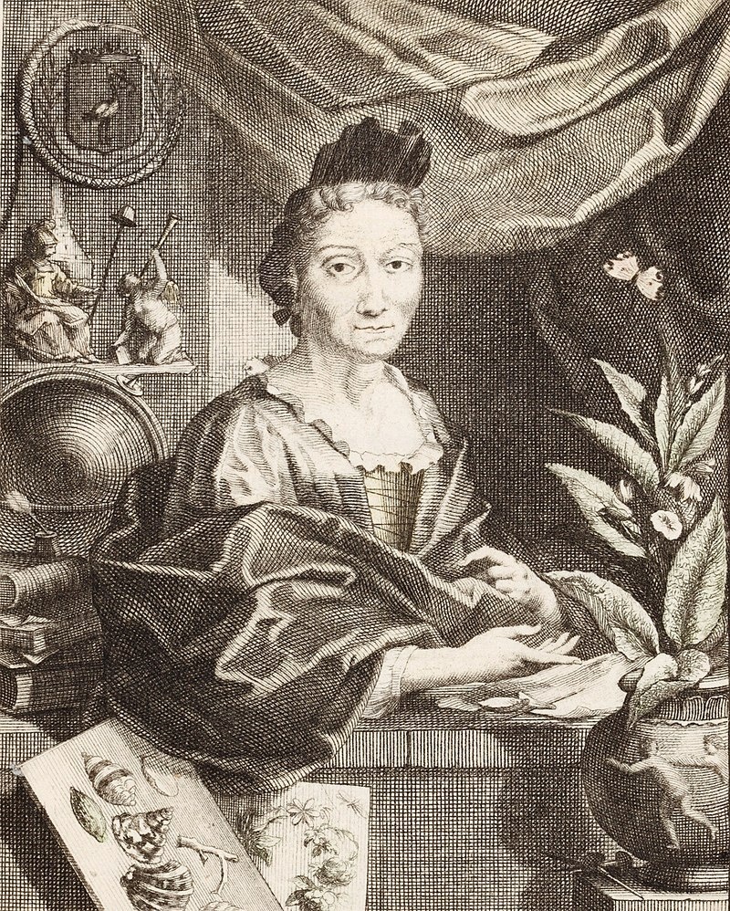 Мария Сибилла Мериан (1647 — 1717)