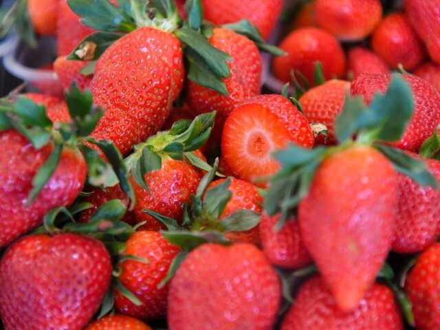    Фото: Москва 24/Антон Великжанин