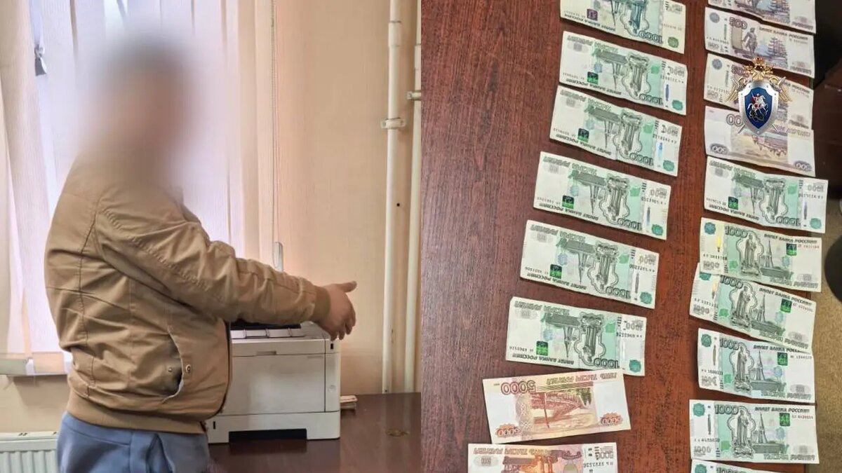    Фото: пресс-служба ГСУ СК России по Петербургу.