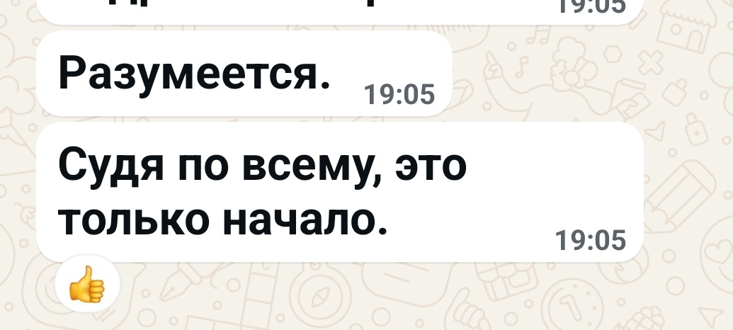 Скриншот переписки. 