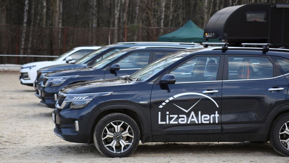    Фото: vk.com/Поисковый отряд "ЛизаАлерт"