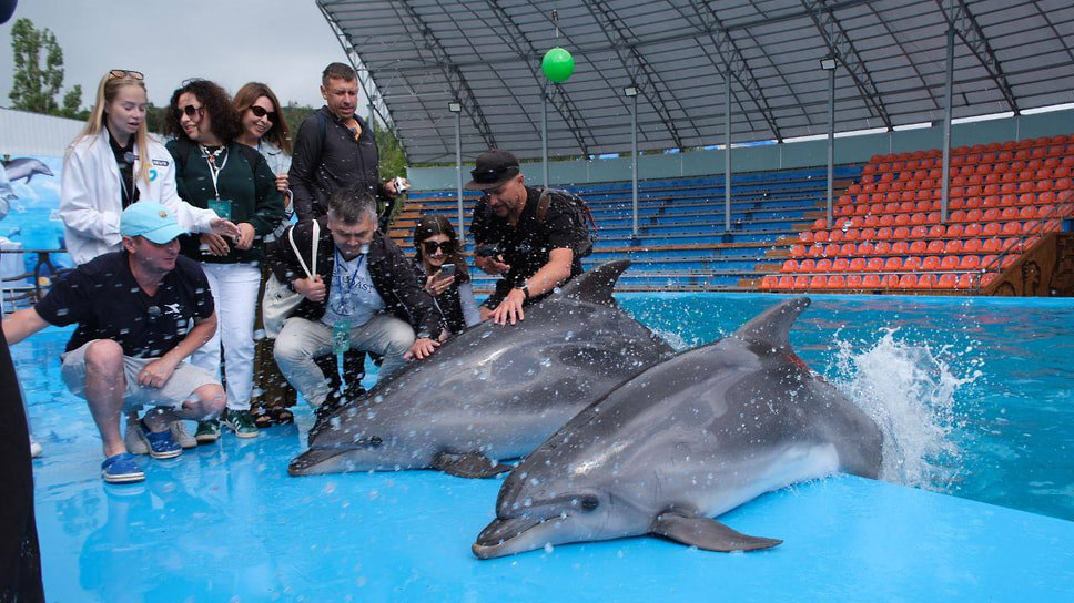 Фото: пресс-служба администрации Геленджика