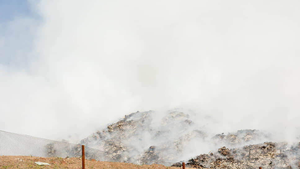 Фото: Марина Молдавская / Коммерсантъ