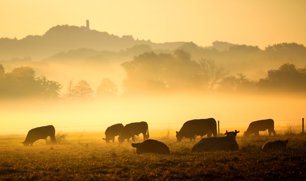 фото: Thomas Warnack/dpa/Global Look Press