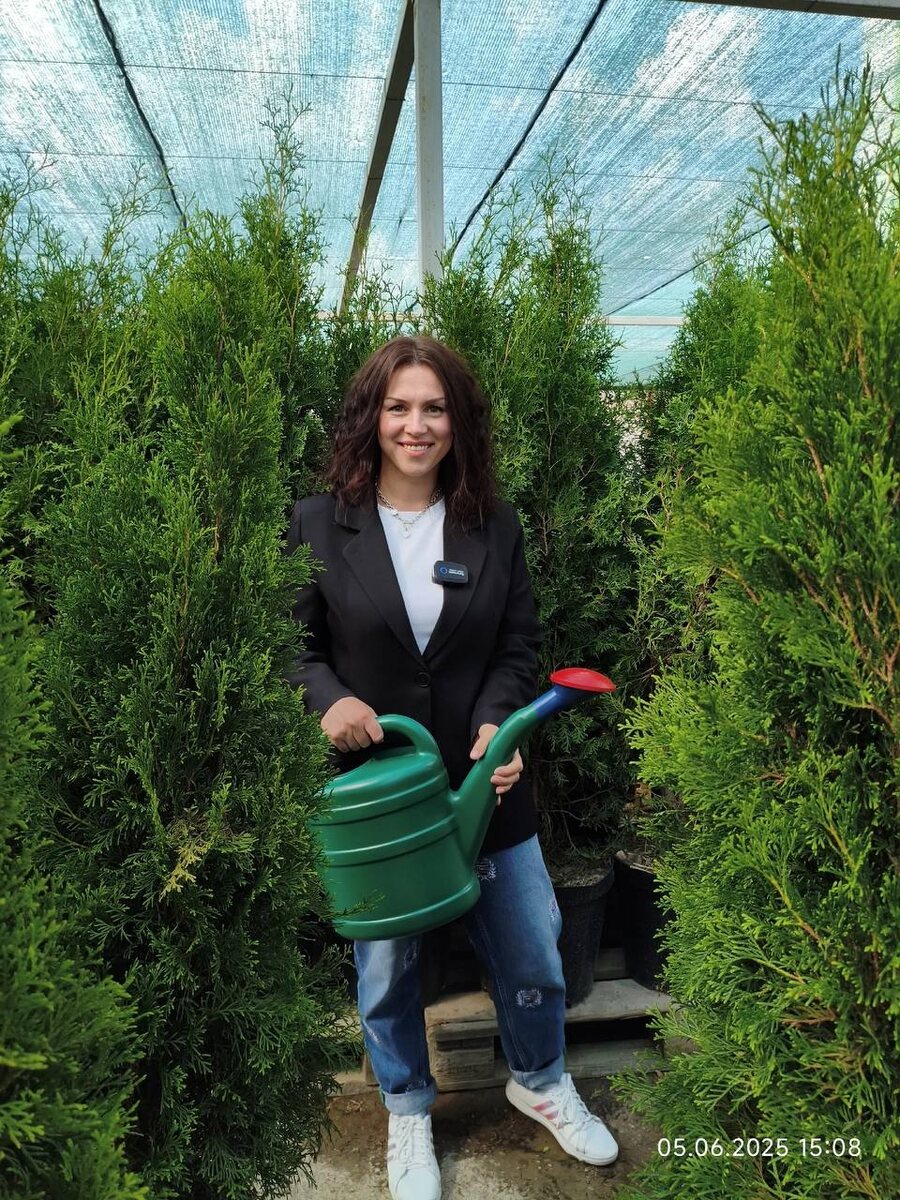 Ваши туи желтеют и сохнут? Это не болезнь — они буквально варятся заживо! Вот как их реанимировать:

3 экстренных правила полива:
Ледяной воды НЕТ — только +18-22°C (иначе шок!)

10 литров на метр роста — под корень + дождевание кроны строго на закате

График: 4 раза в неделю при +30°C (не чаще — корни задохнутся!)

Защита от солнца — хитрости питомников:
✔ Сетка 50% (накинуть как фату) — снижает температуру на 7°C
✔ Глина+известь (1:3) — побелить стволы как плодовые деревья
✔ Кофейная гуща — мульча против перегрева корней