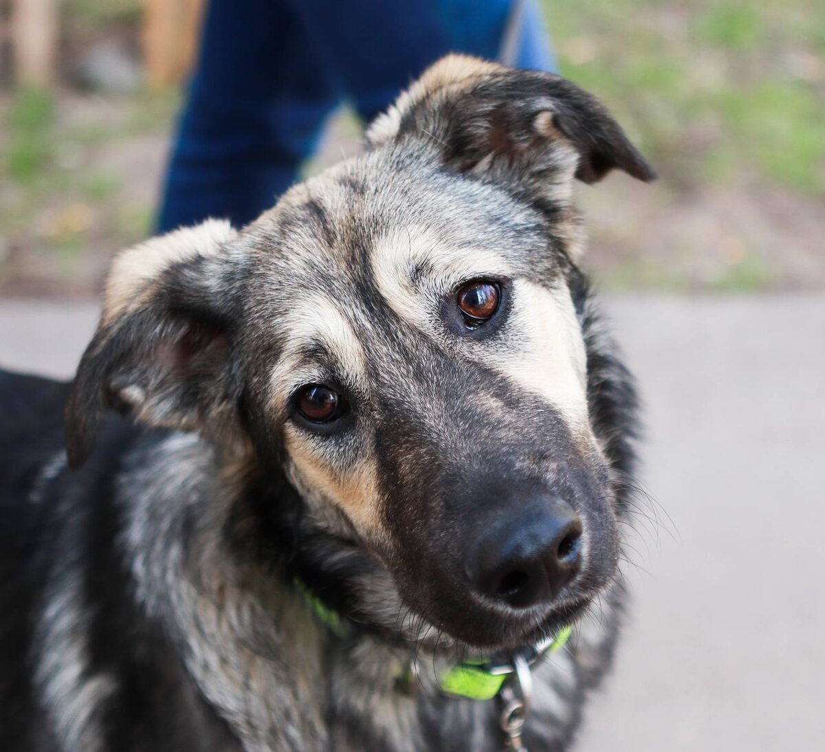 Почему меня так долго никто не забирал?