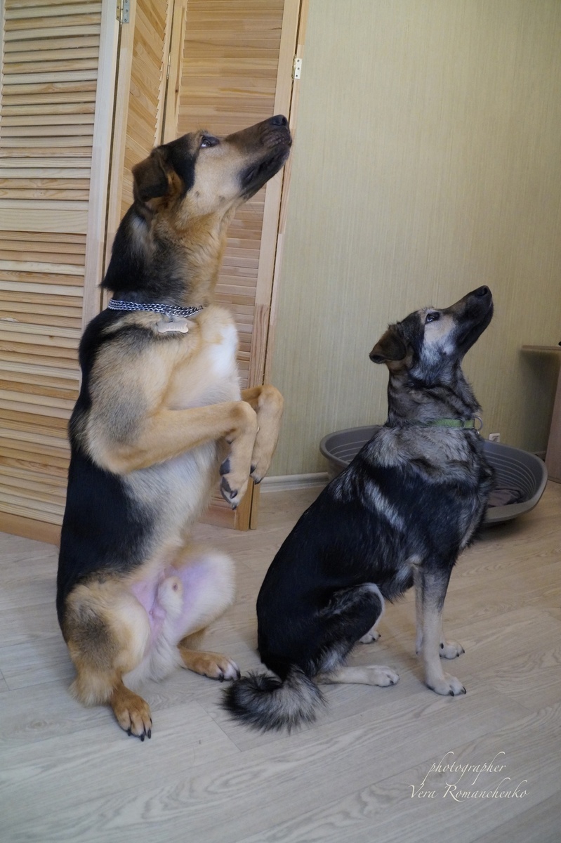 Чего делать-то надо?