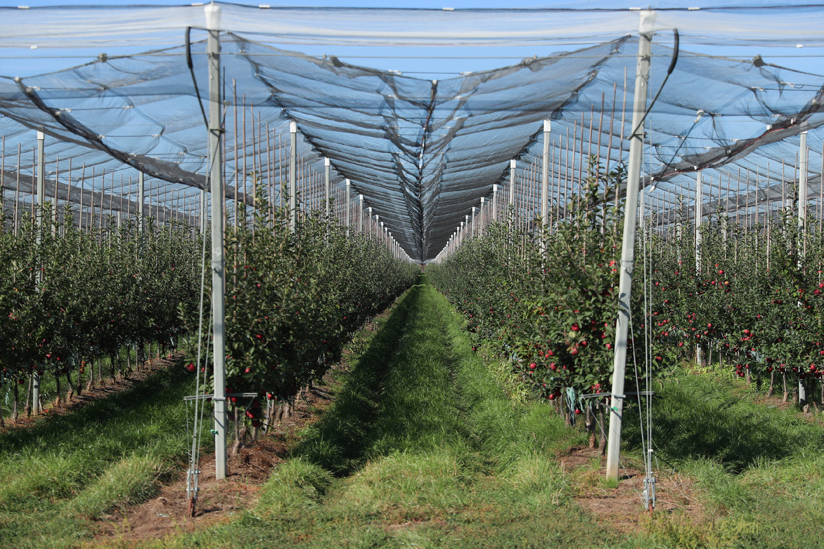 Фото:  Эрик Романенко/ТАСС