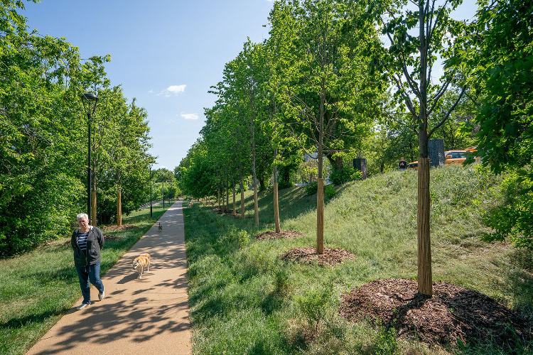    Фото: пресс-служба комплекса городского хозяйства Москвы