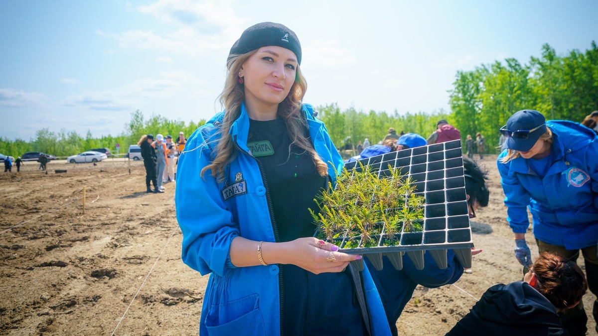    В Югре в этом году высадят более 18 миллионов деревьев