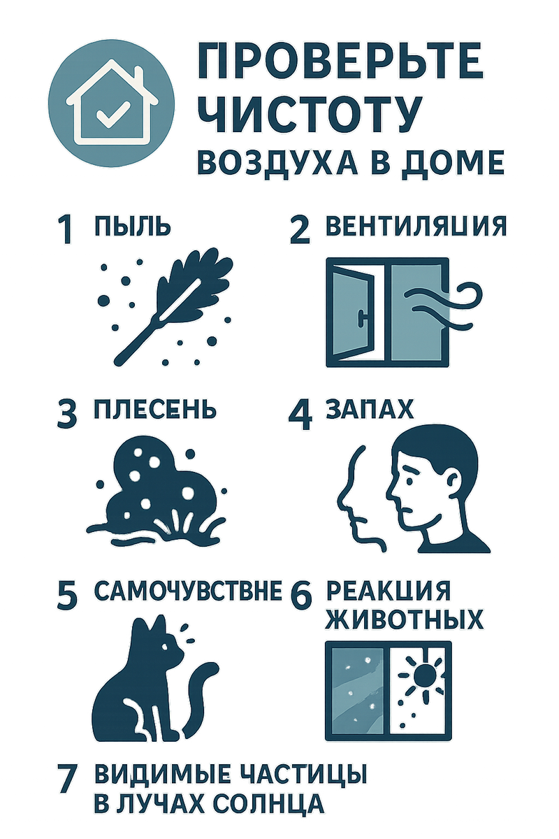 Инфографика с семью простыми шагами для проверки чистоты воздуха в доме: пыль, вентиляция, плесень, запах, самочувствие, реакция животных, видимые частицы в лучах солнца, иконки и понятные символы