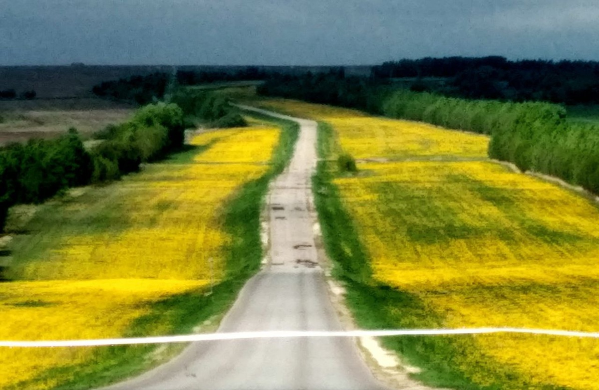 И тут я влюбилась!