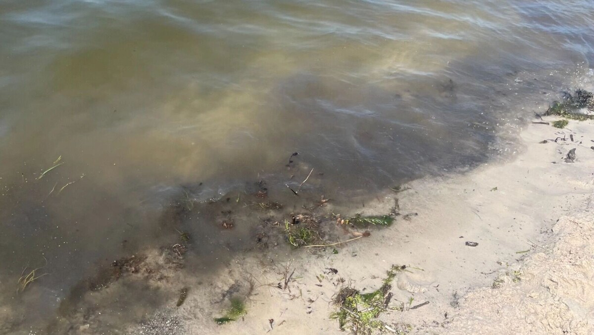     Автор: Алёна Мальцева Источник: bel.ru