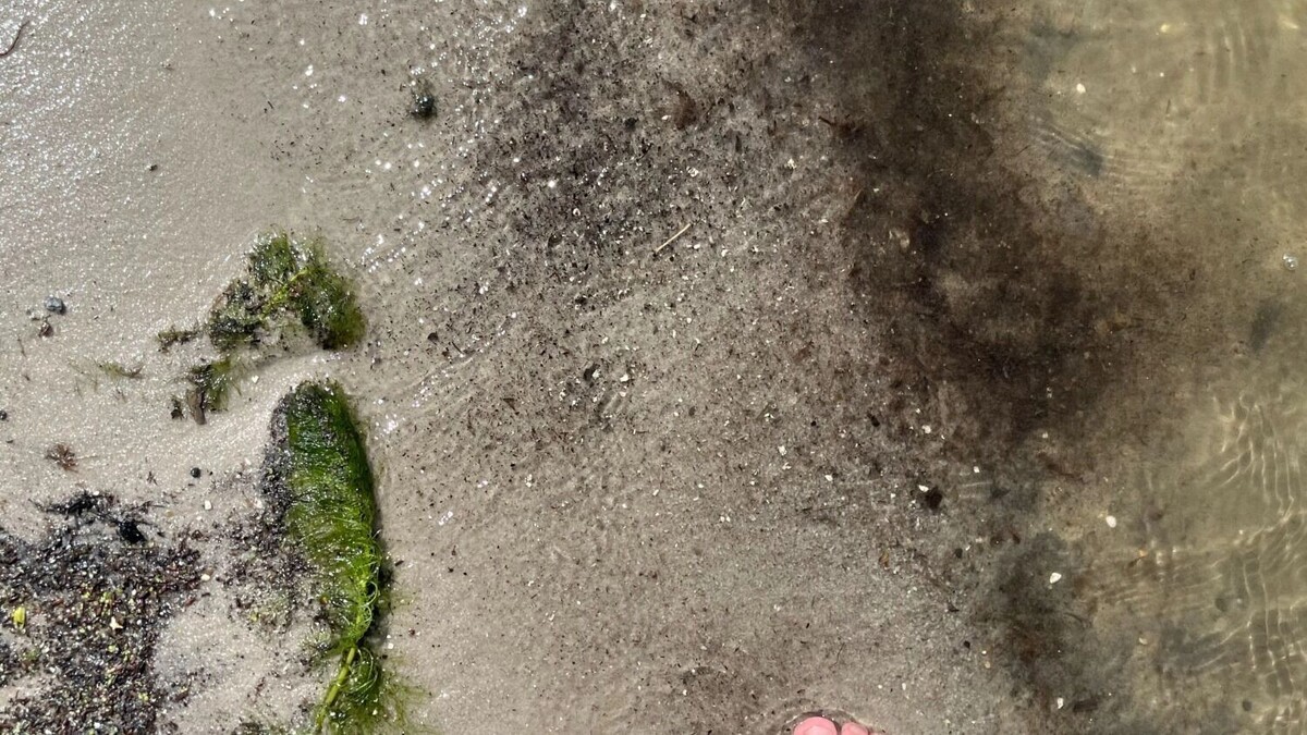     Автор: Алёна Мальцева Источник: bel.ru