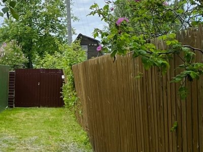    Фото: ГТРК Карелия