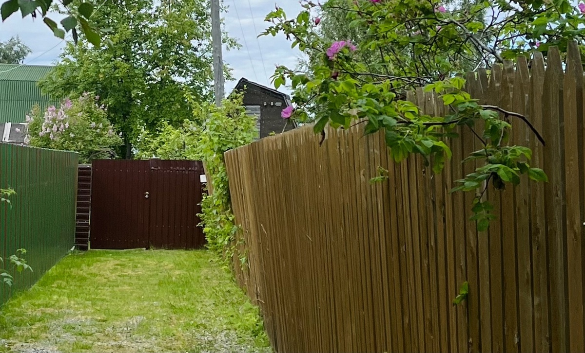    Фото: ГТРК Карелия