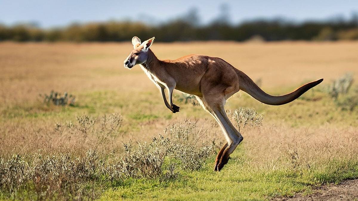    Фото: Shutterstock