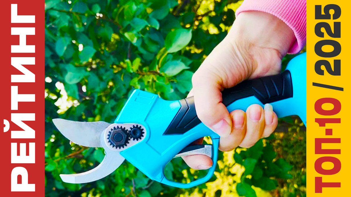 ТОП-10 Аккумуляторных секаторов 2025 года: Рейтинг лучших моделей