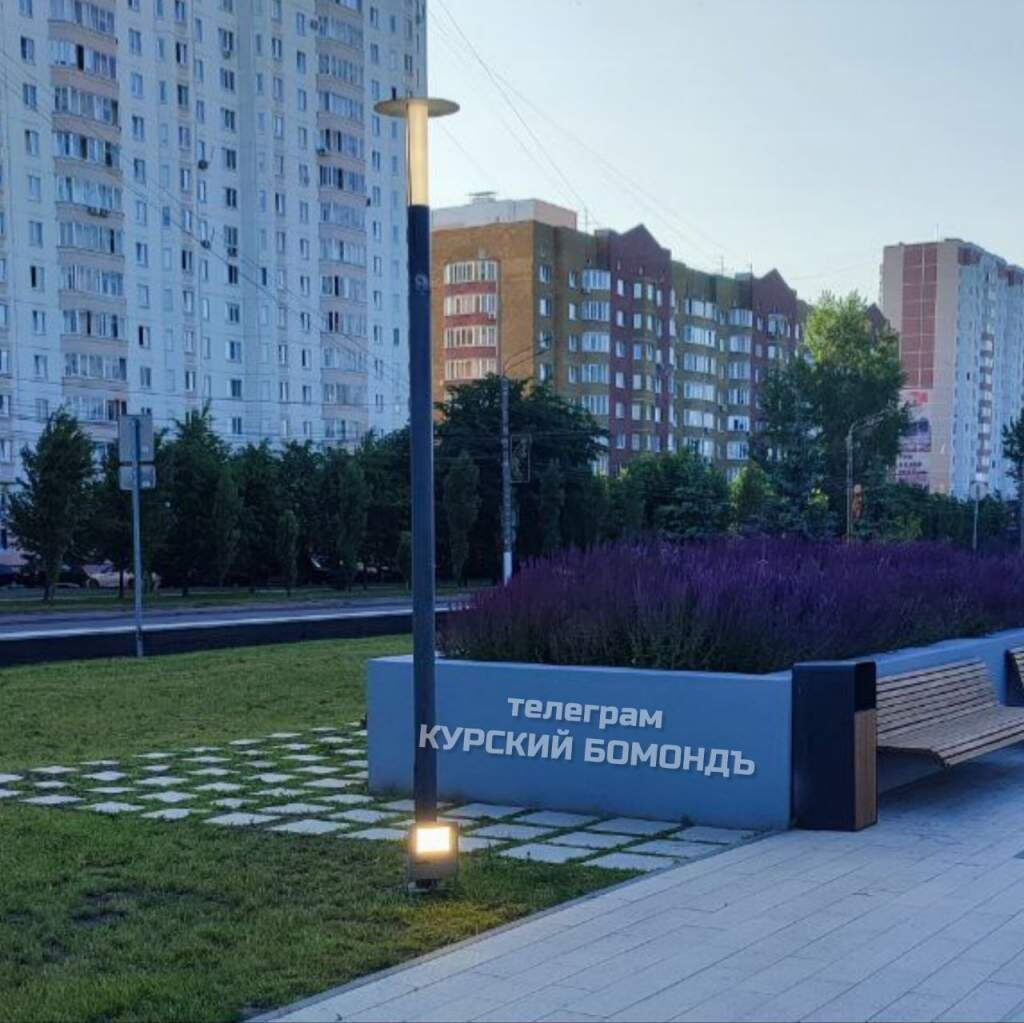    Фото "Курский Бомондъ"