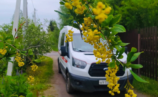    © ГБУЗ ЛО "Станция скорой медицинской помощи"