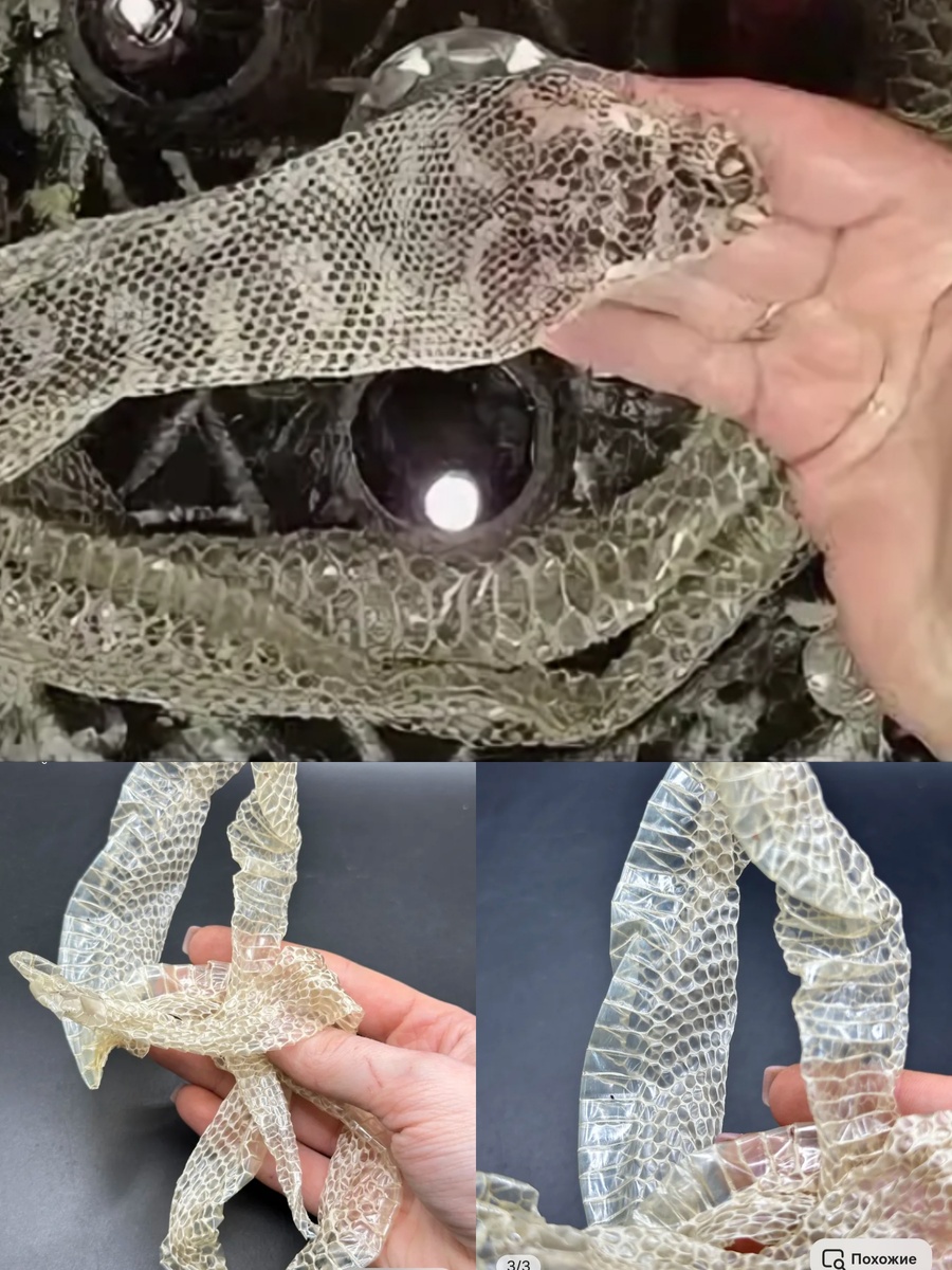 Фотоколлаж автора статьи 