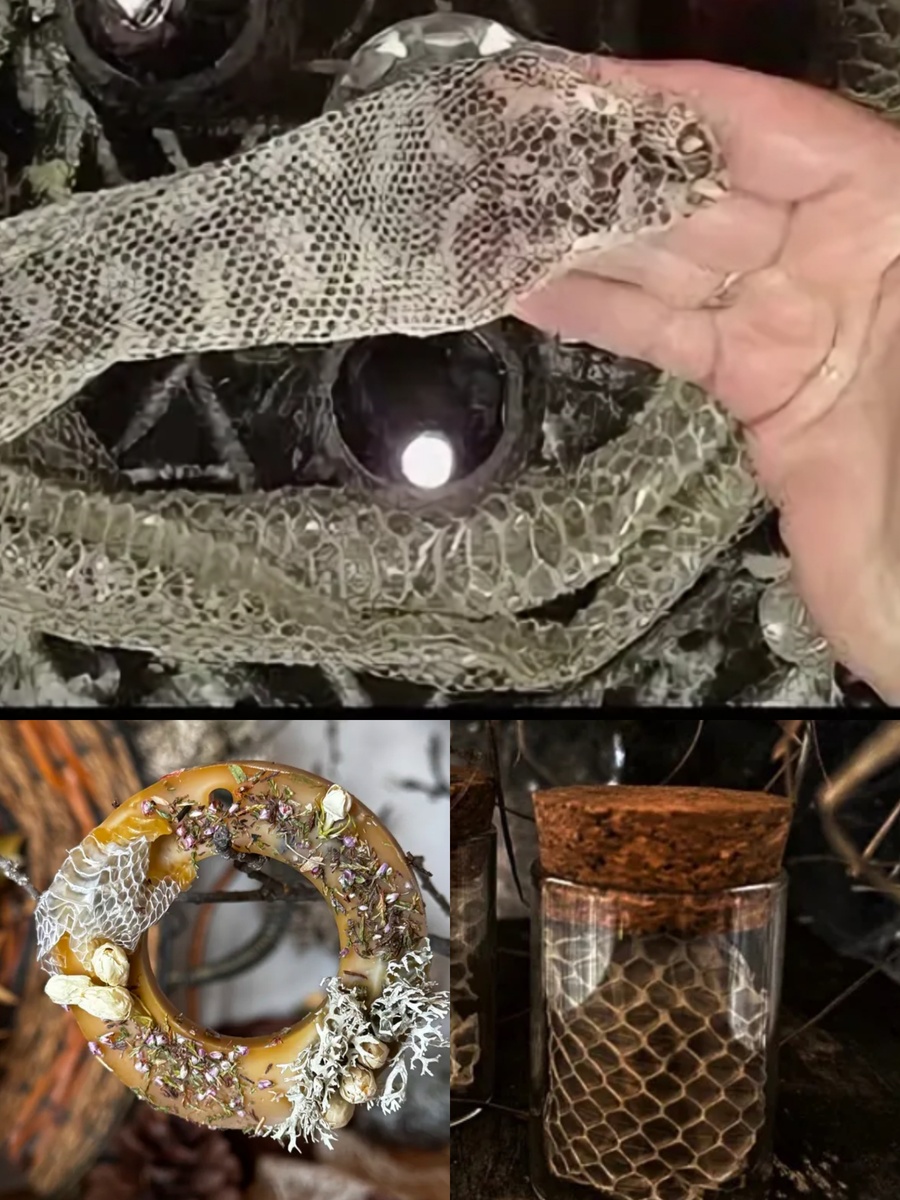 Фотоколлаж автора статьи 