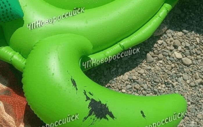    Фото: t.me/chpnvrsk_official