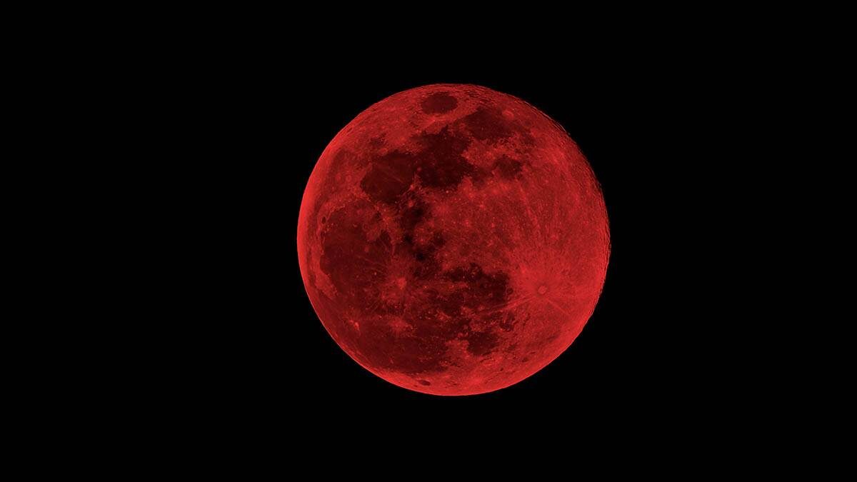    Фото: shutterstock