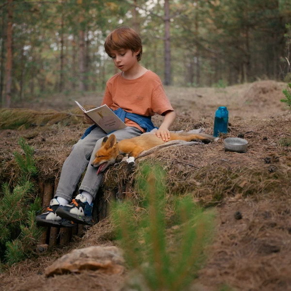     Фильм о дружбе мальчика с лисёнком «Мой дикий друг» покажет СТС