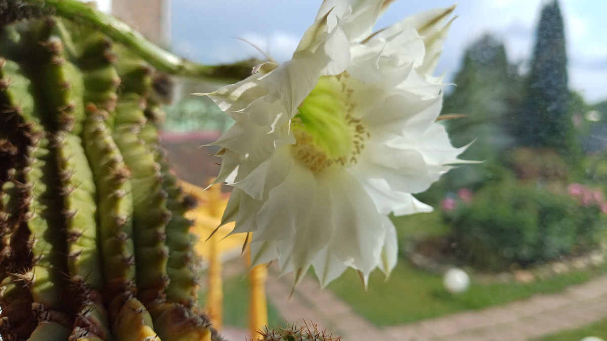 Автор - Татьяна Федотова