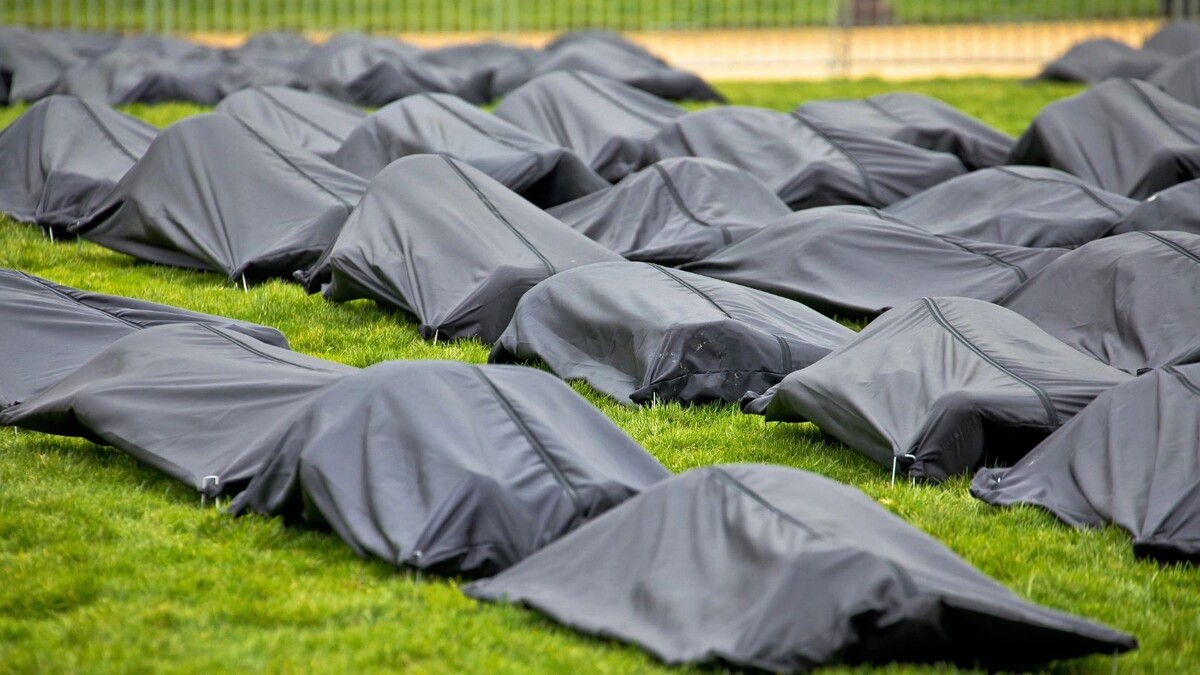    Фото: xbrchx/Shutterstock/Fotodom