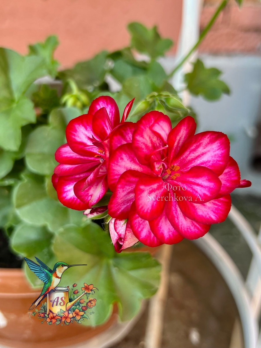 Фото автора 