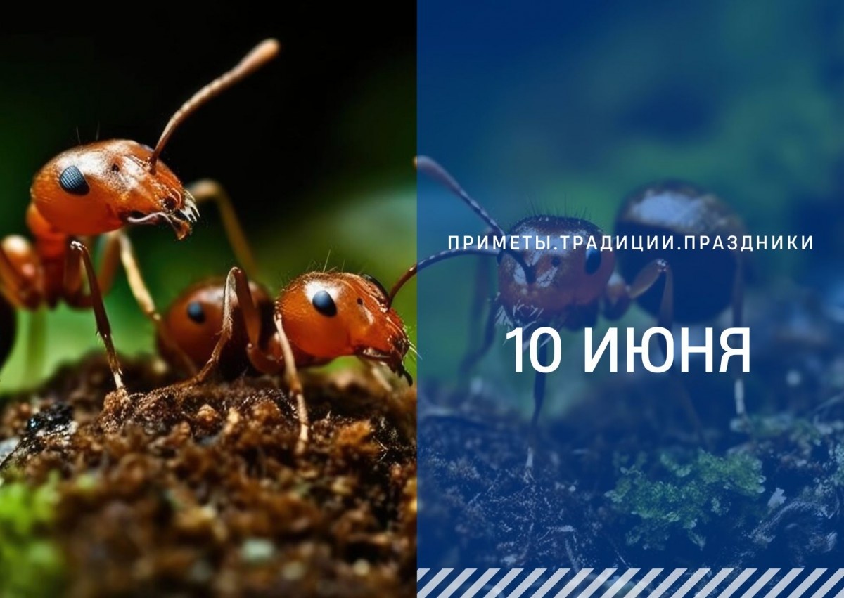   ГТРК "Ставрополье"