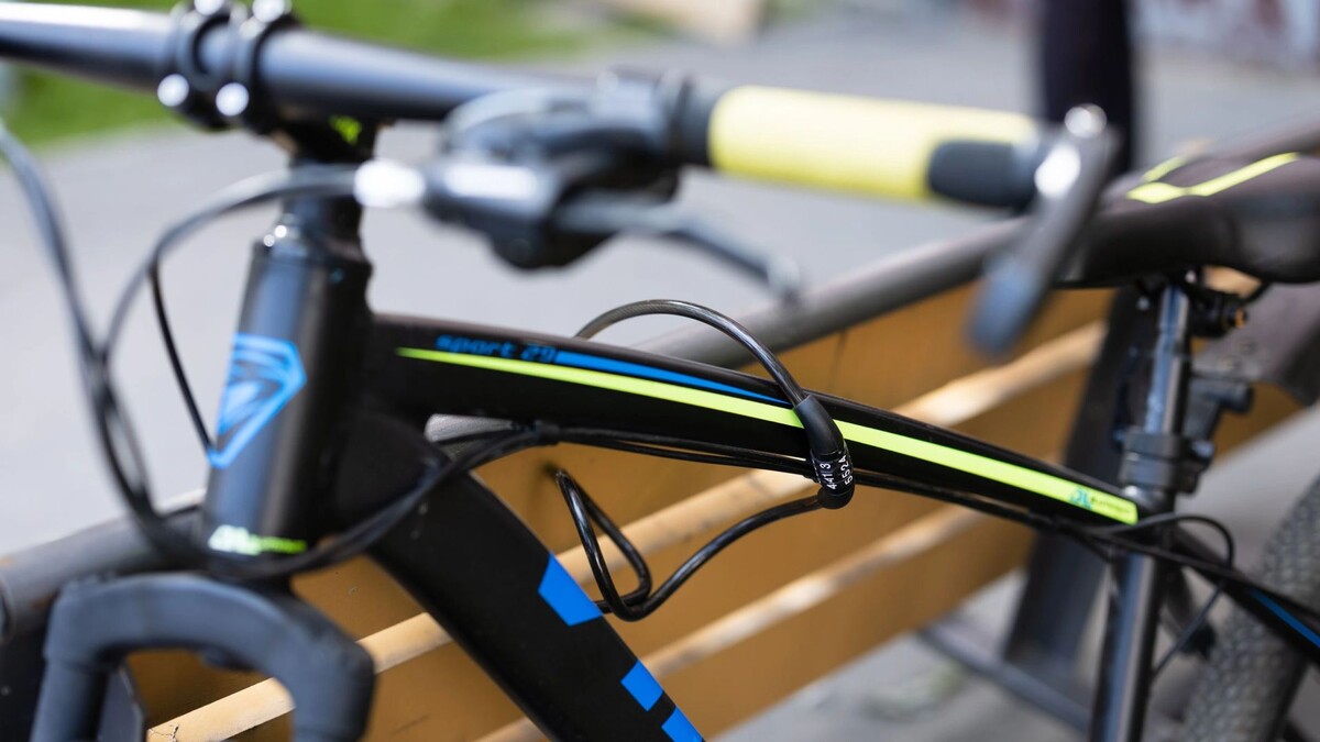    Фото: Юлия Чудинова/«Ямал-Медиа»