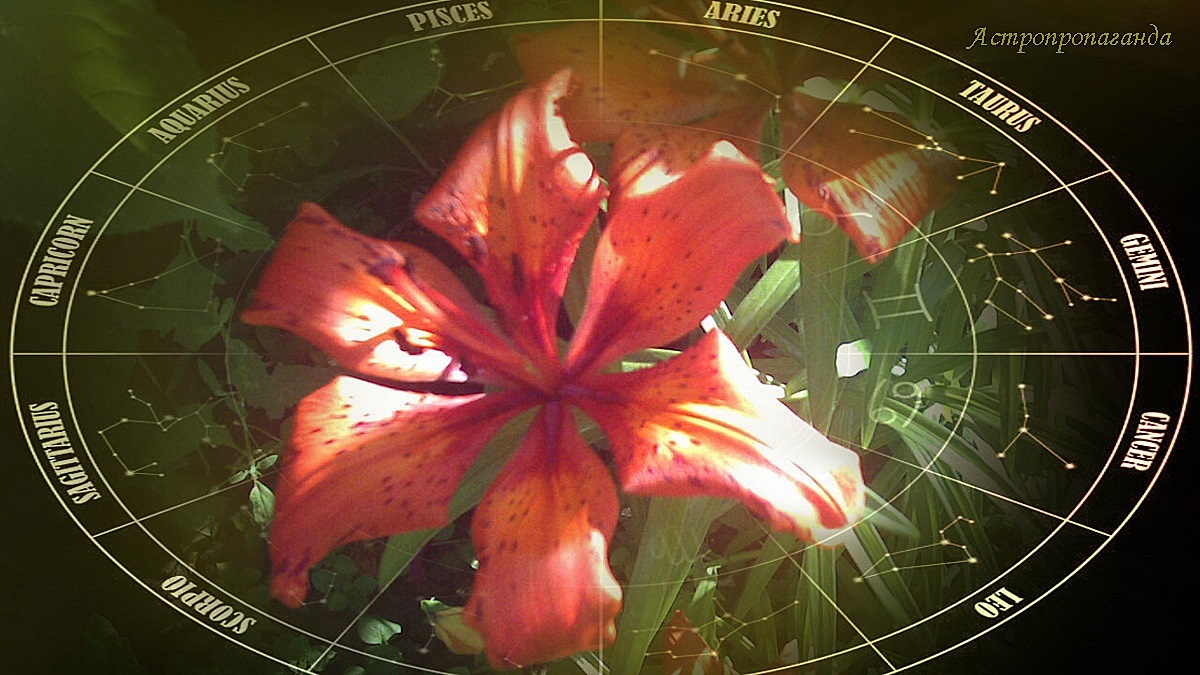 Гороскоп с 9 по 15 июня 2025: два перехода планет и много квадратур | Недельный гороскоп 