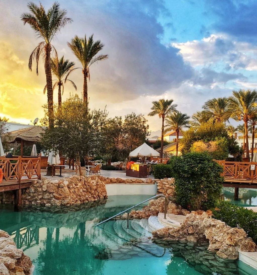 Фото из открытых источников интернета 