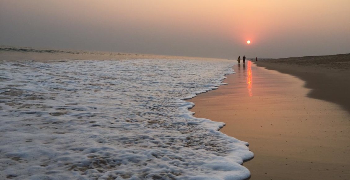    Фото: НИА "Экология"