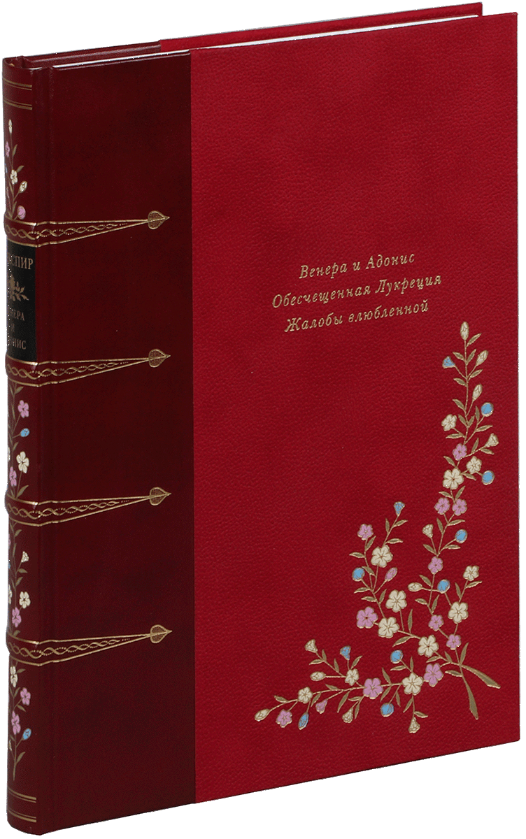 Издательство "Вита Нова", год издания 2025, тираж 900 экз.