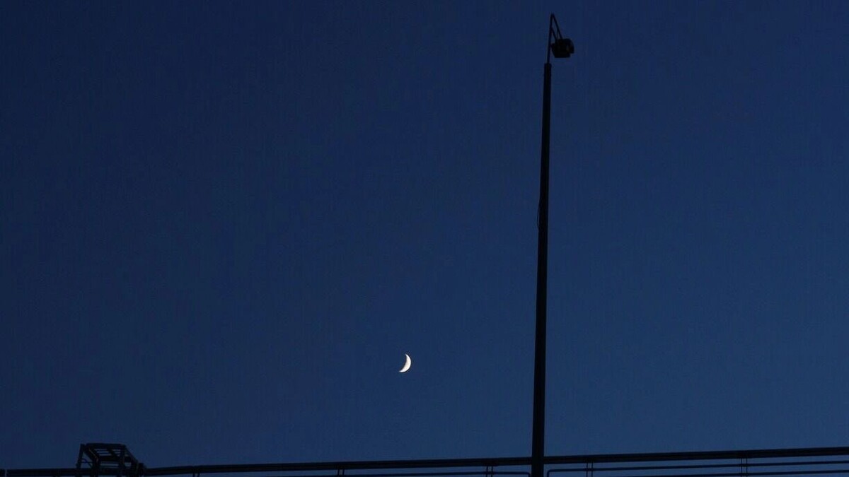     Источник: 1MI