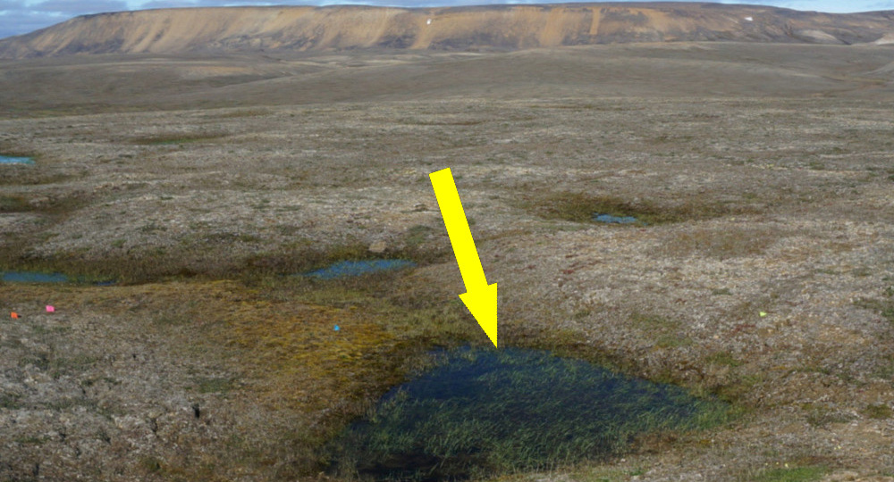 Гигантские кратеры в Сибири ТАЙНА которую скрывают ученые