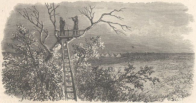 Наблюдательная вышка (мангрульо)  