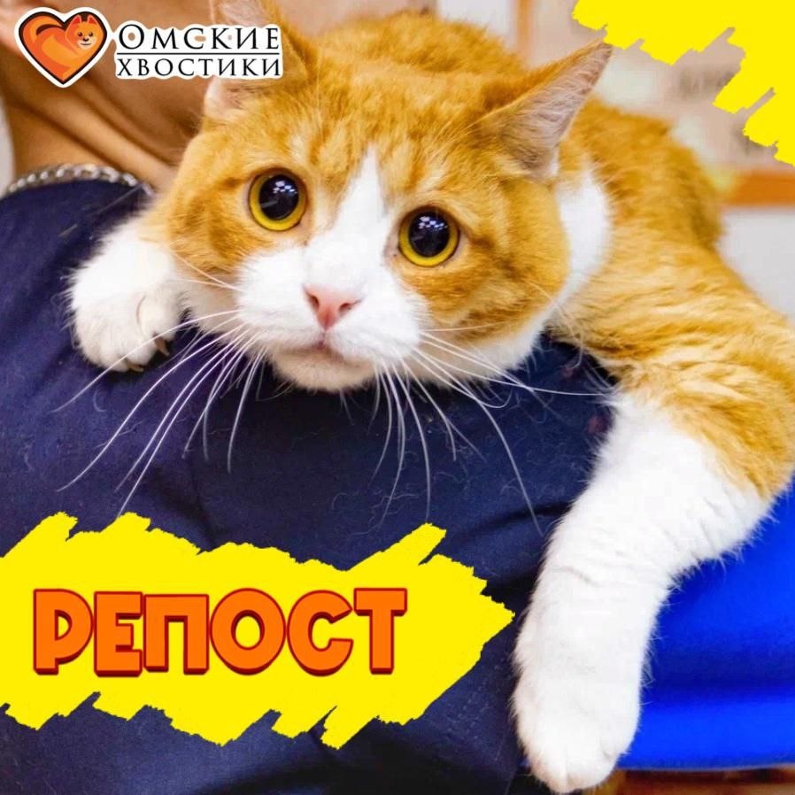 Поддержите нас репостом — вместе мы сможем подарить больше счастливых историй!