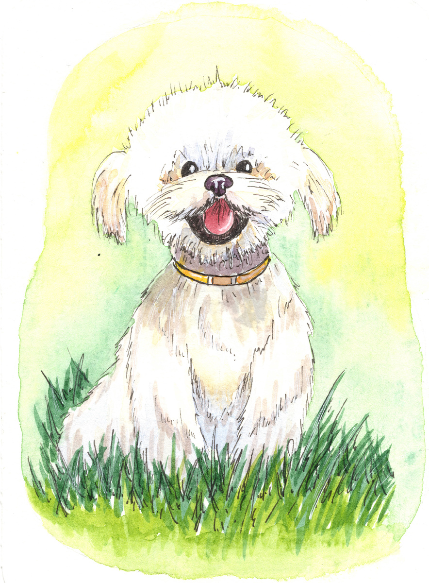 Упражнение №2