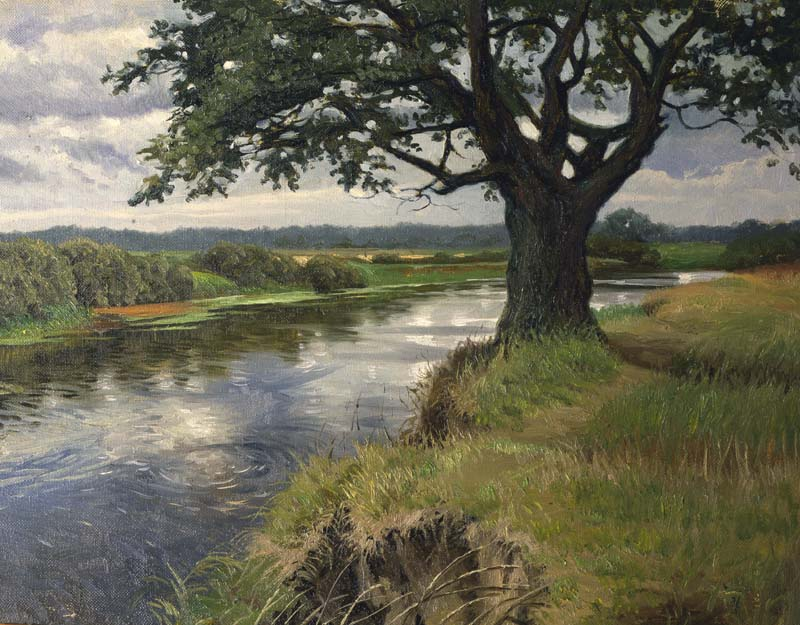 Дубок на обрыве