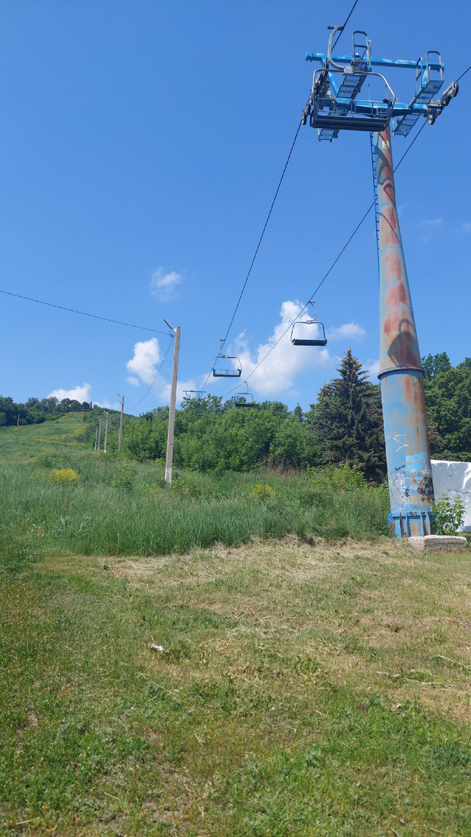 Парка Дружбы народов. 08.06.2025. Фото автора 