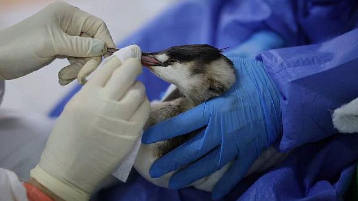    Фото: «Молодёжь Новороссийска»