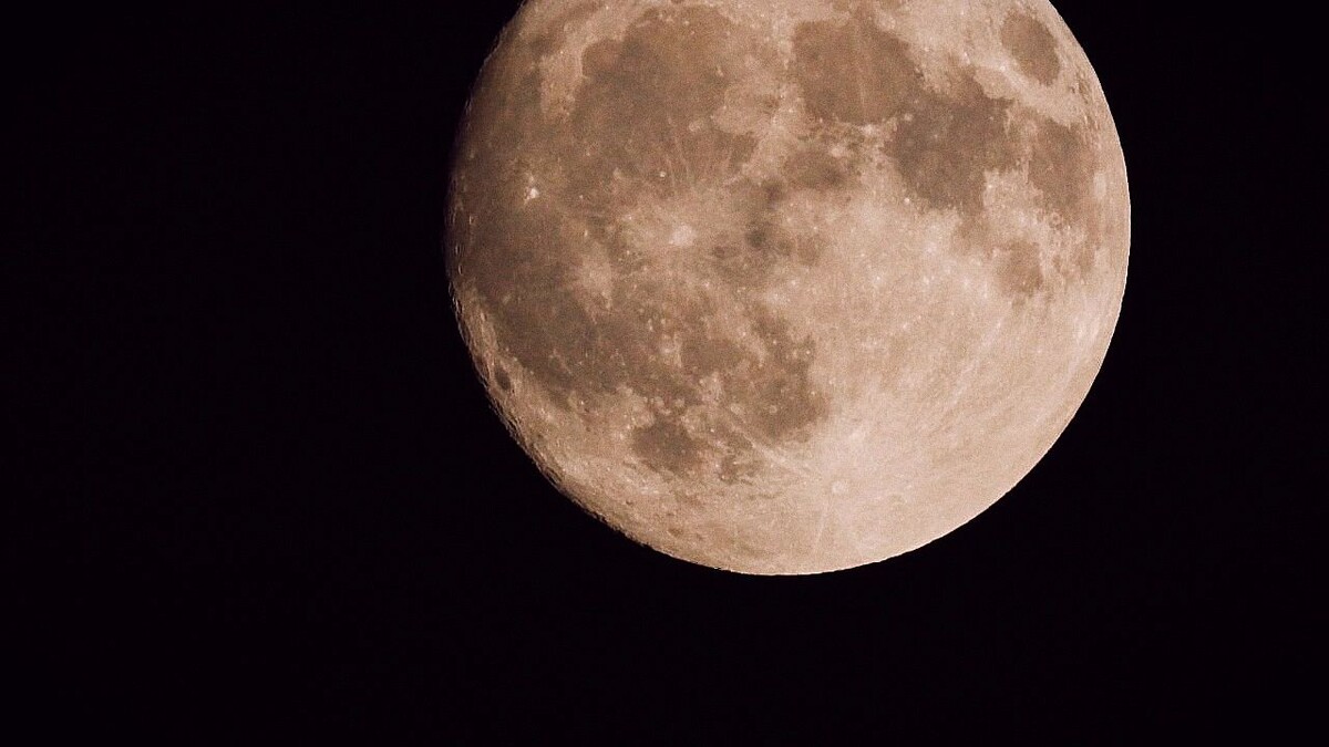    Фото: телеканал «Краснодар»